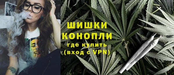 сатива Волосово