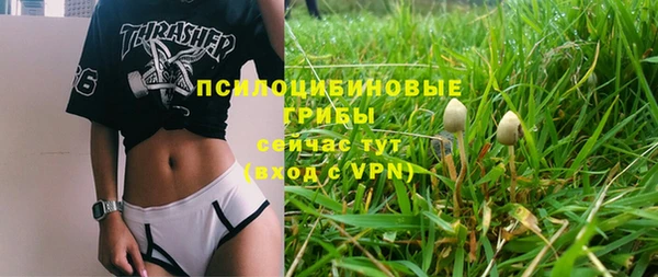 Альфа ПВП Володарск