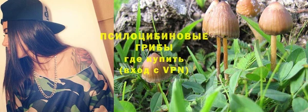 сатива Волосово