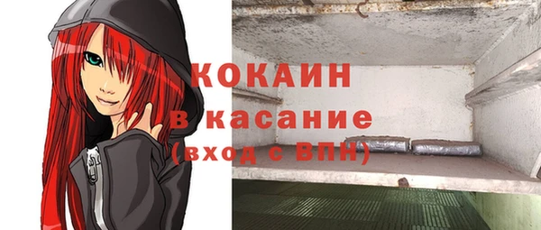 индика Болхов