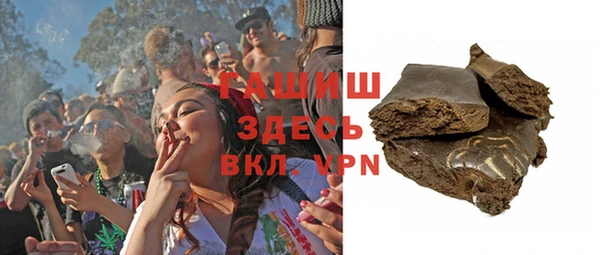 индика Болхов